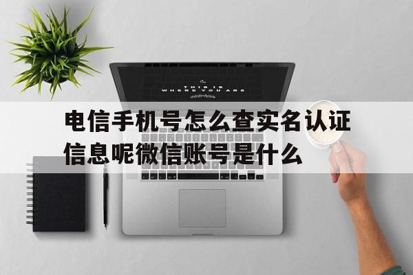 包含电信手机号怎么查实名认证信息呢微信账号是什么的词条 包含电信手机号怎么查实名认证信息呢微信账号是什么的词条