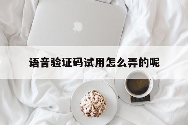 语音验证码试用怎么弄的呢 语音验证码试用怎么弄的呢
