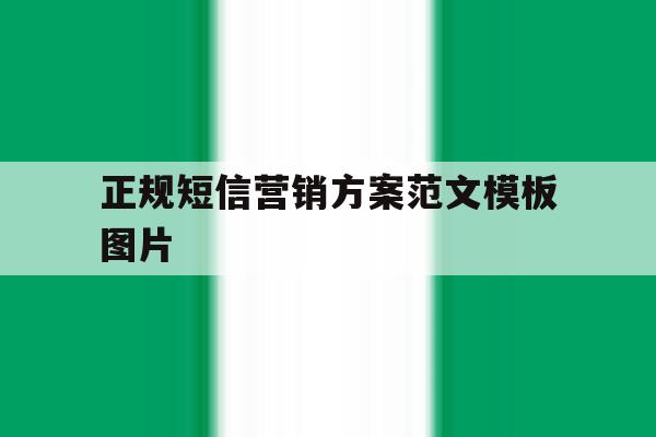 正规短信营销方案范文模板图片 正规短信营销方案范文模板图片
