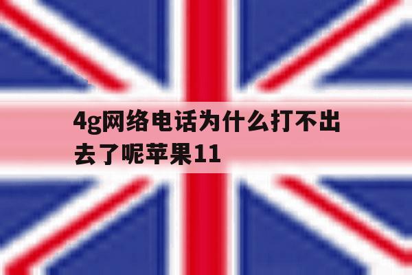 4g网络电话为什么打不出去了呢苹果11 4g网络电话为什么打不出去了呢苹果11