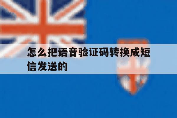 怎么把语音验证码转换成短信发送的 怎么把语音验证码转换成短信发送的