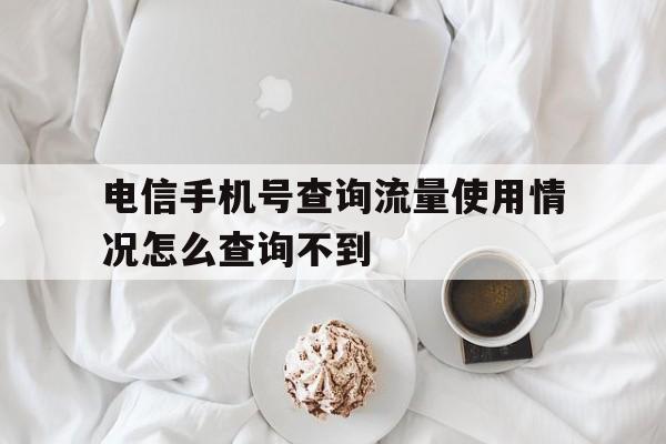 电信手机号查询流量使用情况怎么查询不到 电信手机号查询流量使用情况怎么查询不到