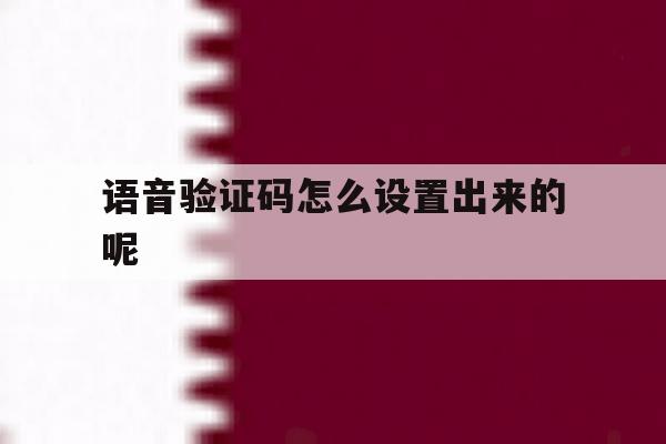 语音验证码怎么设置出来的呢 语音验证码怎么设置出来的呢