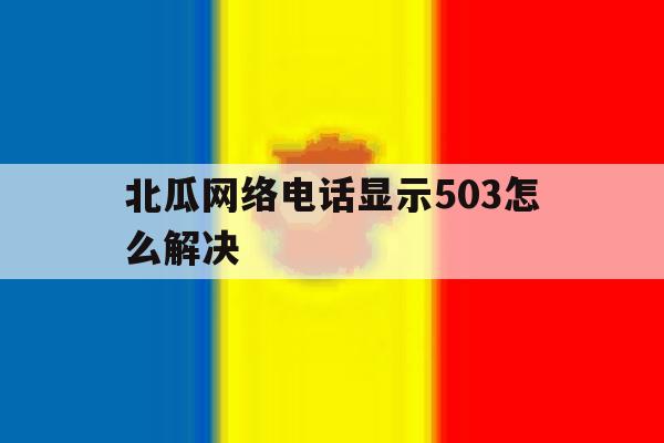 北瓜网络电话显示503怎么解决 北瓜网络电话显示503怎么解决