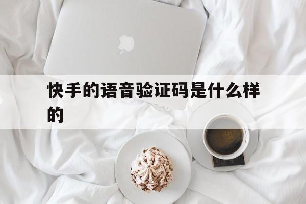 快手的语音验证码是什么样的 快手的语音验证码是什么样的