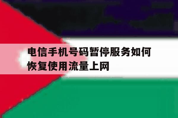 电信手机号码暂停服务如何恢复使用流量上网 电信手机号码暂停服务如何恢复使用流量上网