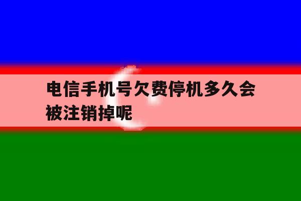 关于电信手机号欠费停机多久会被注销掉呢的信息 关于电信手机号欠费停机多久会被注销掉呢的信息