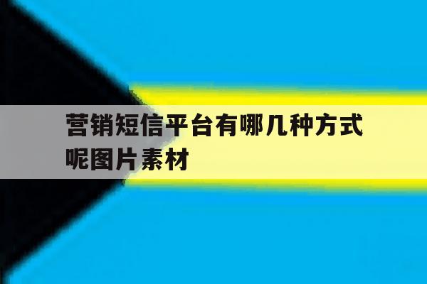 营销短信平台有哪几种方式呢图片素材 营销短信平台有哪几种方式呢图片素材
