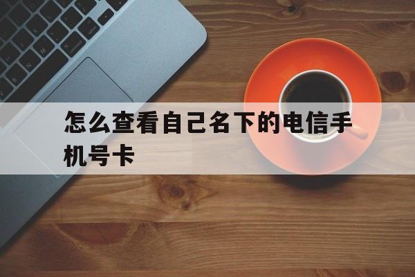 怎么查看自己名下的电信手机号卡 怎么查看自己名下的电信手机号卡