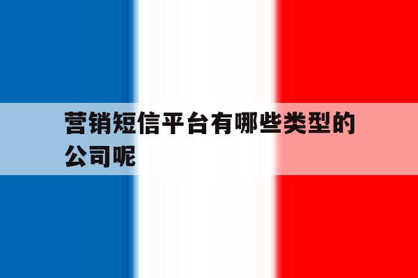 营销短信平台有哪些类型的公司呢的简单介绍 营销短信平台有哪些类型的公司呢的简单介绍