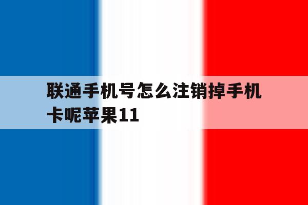 联通手机号怎么注销掉手机卡呢苹果11的简单介绍 联通手机号怎么注销掉手机卡呢苹果11的简单介绍
