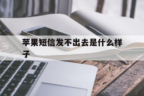苹果短信发不出去是什么样子 苹果短信发不出去是什么样子