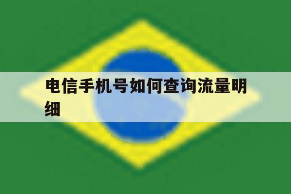 电信手机号如何查询流量明细 电信手机号如何查询流量明细
