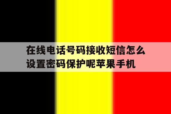 关于在线电话号码接收短信怎么设置密码保护呢苹果手机的信息 关于在线电话号码接收短信怎么设置密码保护呢苹果手机的信息