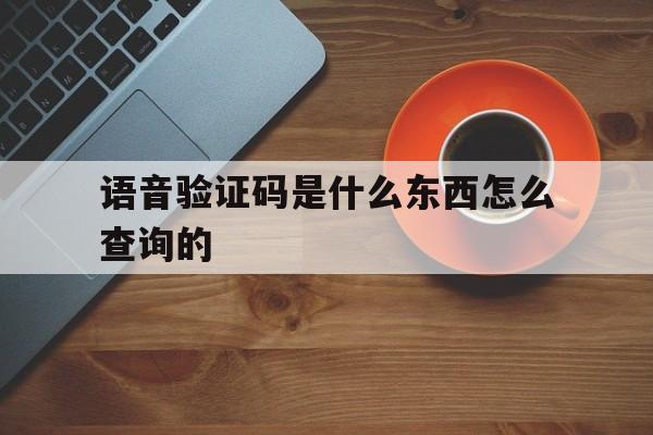 语音验证码是什么东西怎么查询的 语音验证码是什么东西怎么查询的