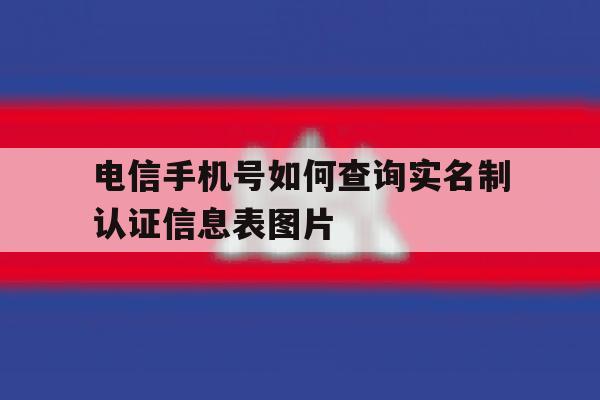 关于电信手机号如何查询实名制认证信息表图片的信息 关于电信手机号如何查询实名制认证信息表图片的信息