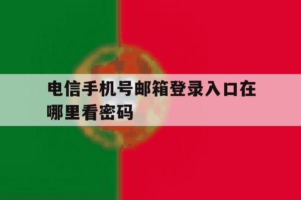 电信手机号邮箱登录入口在哪里看密码