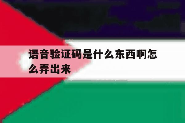 语音验证码是什么东西啊怎么弄出来 语音验证码是什么东西啊怎么弄出来
